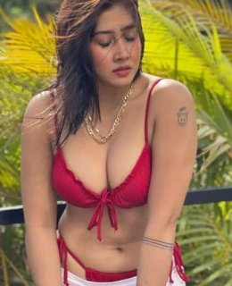 Call Girl in  Pullman New Delhi Aerocity 9773824855 Escorts Services In Delhi,NCR